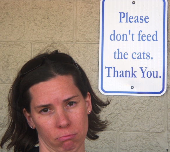 10_please_dont_feed_the_kat
